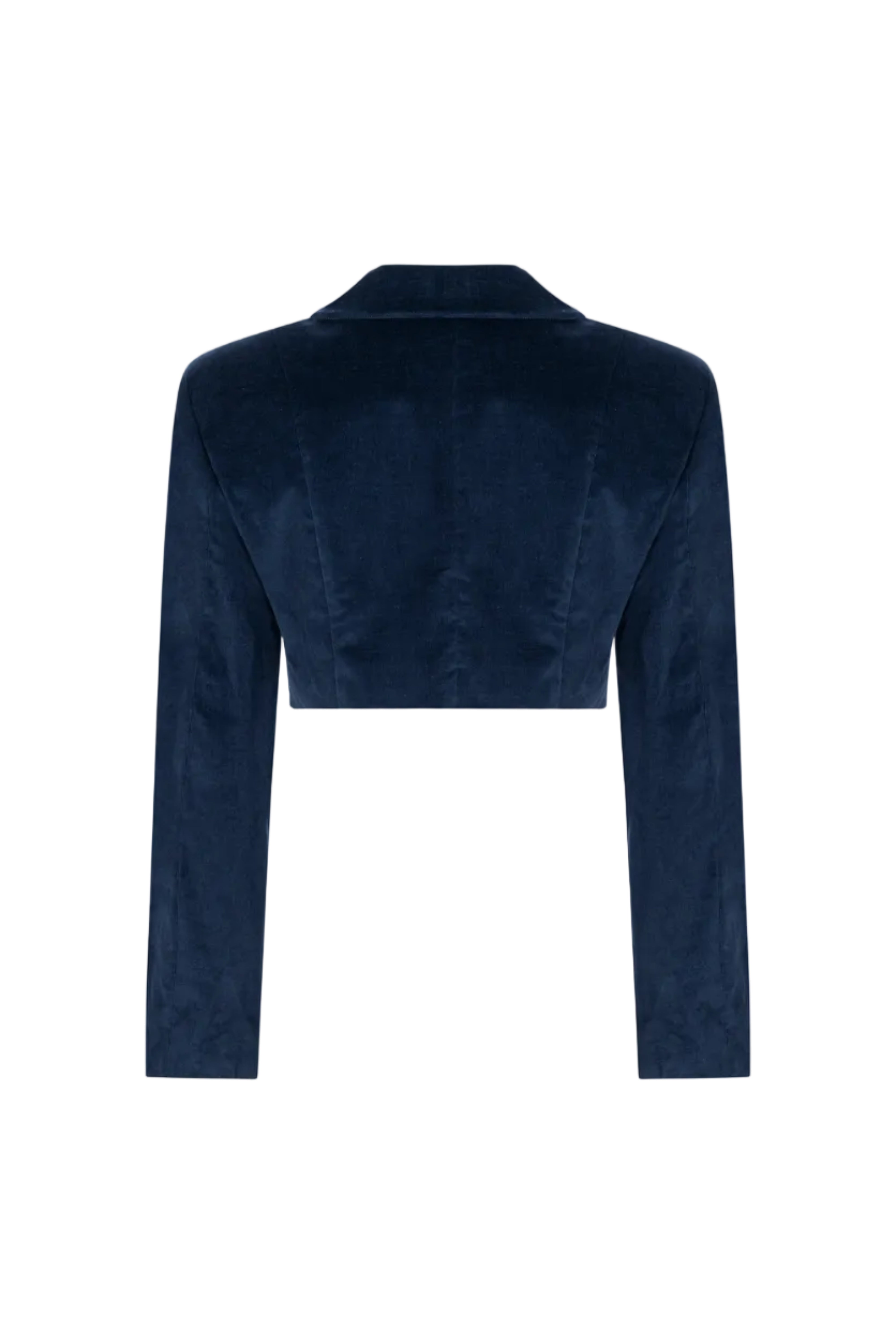 Cropped double-breasted velvet jacket, Terracotta, back view