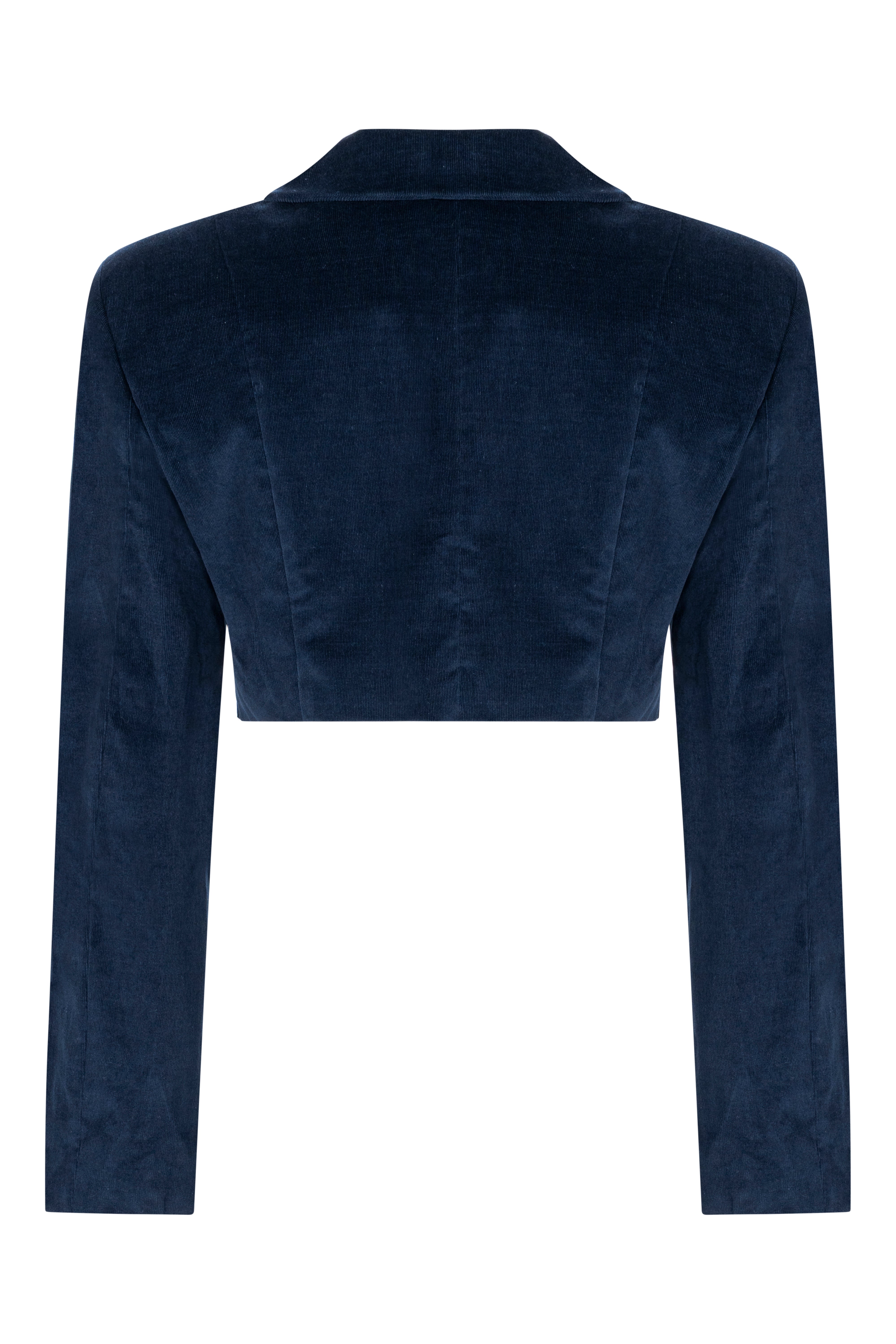 Cropped double-breasted velvet jacket, Terracotta, back view