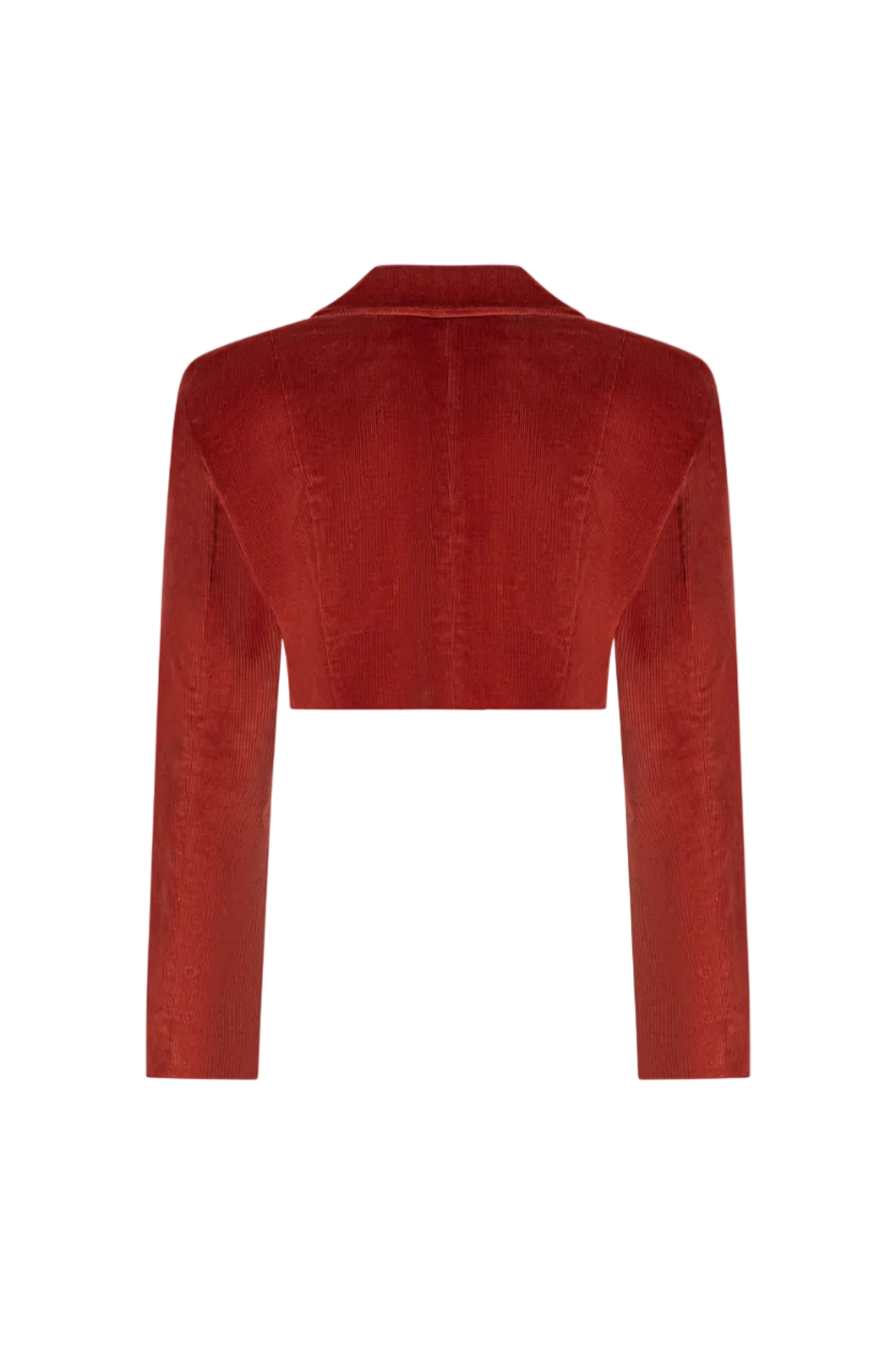 Cropped double-breasted velvet jacket, Terracotta, back view