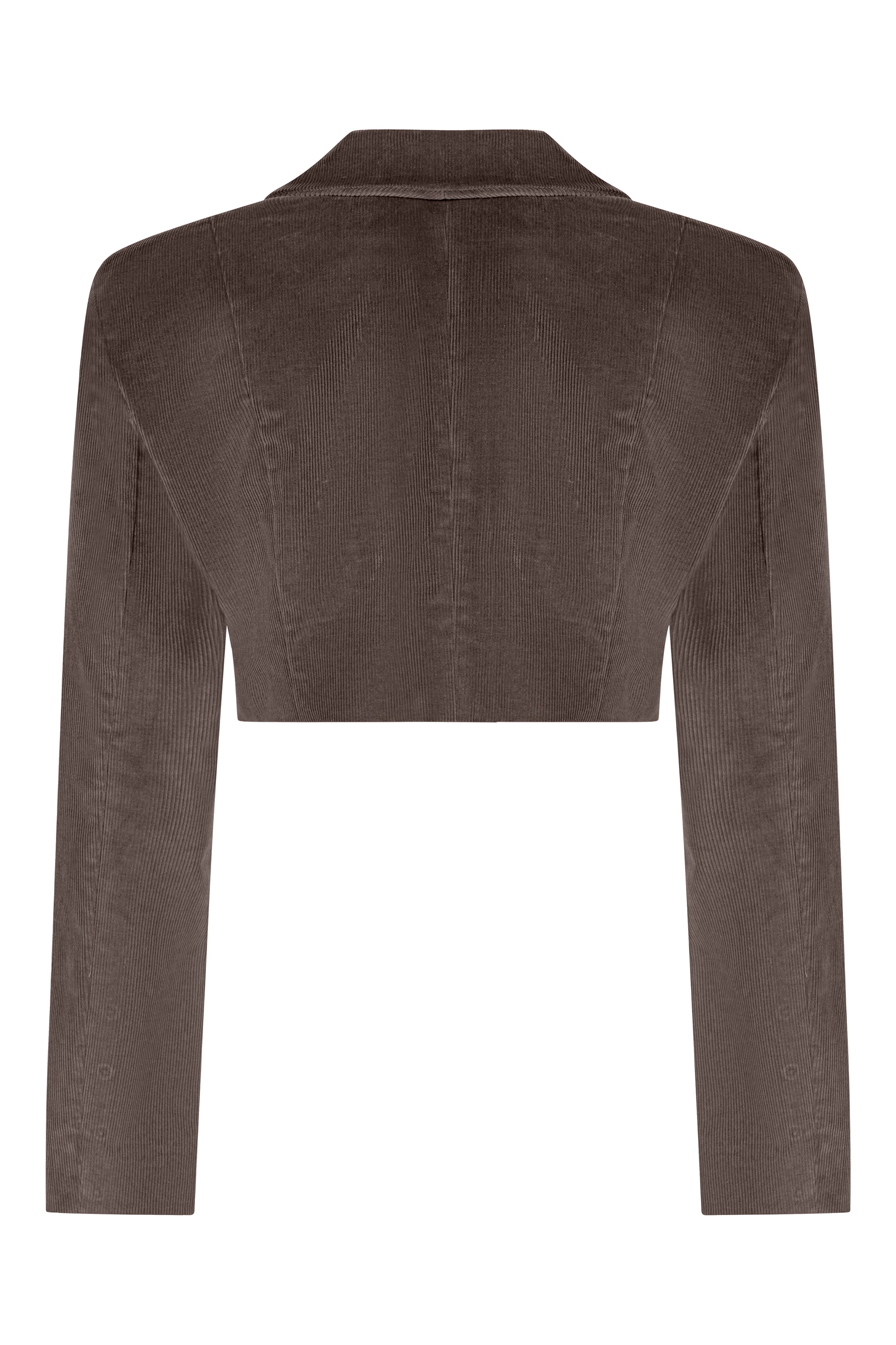Cropped Cold Brown double-breasted velvet jacket, Terracotta, back view