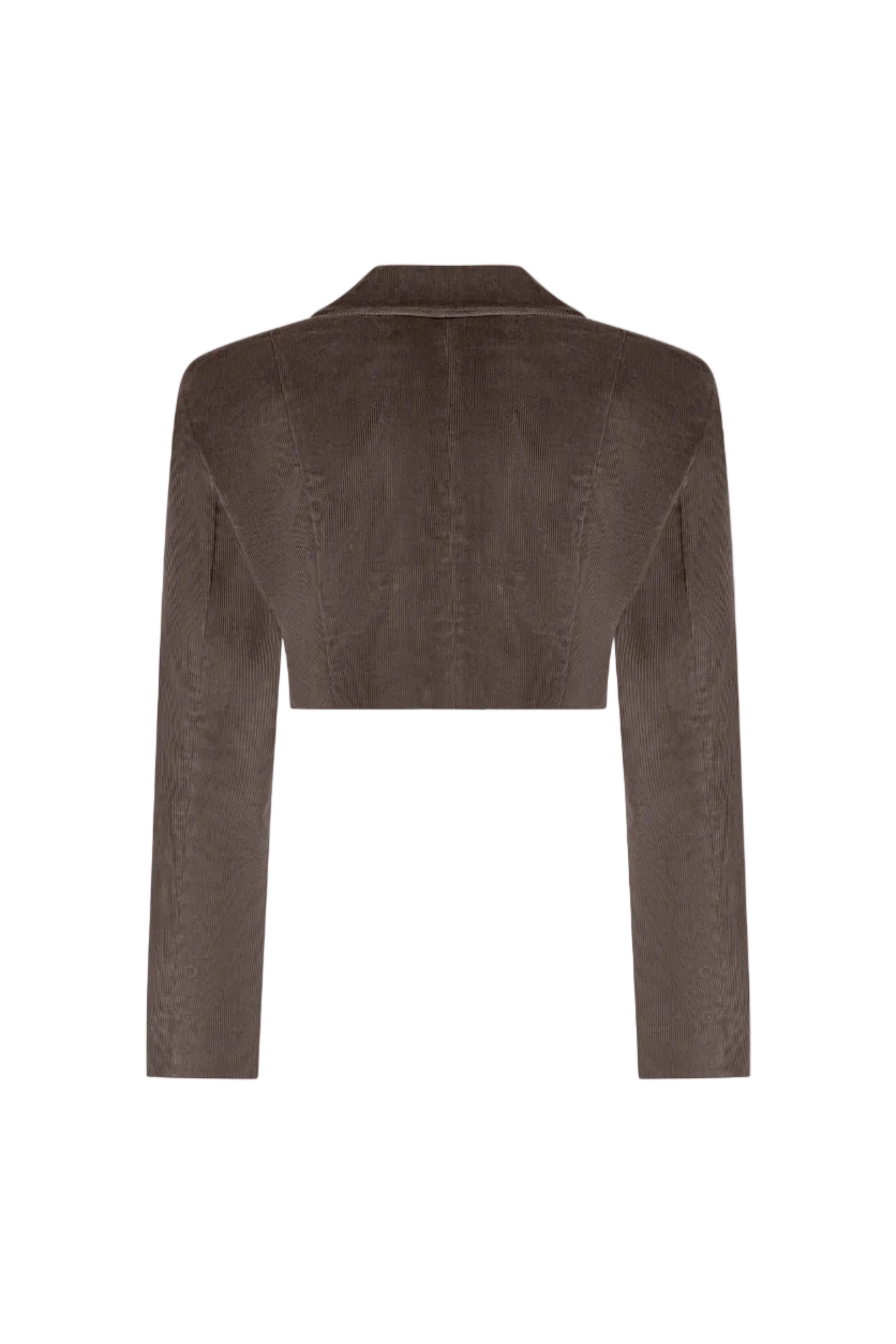 Cropped Cold Brown double-breasted velvet jacket, Terracotta, back view