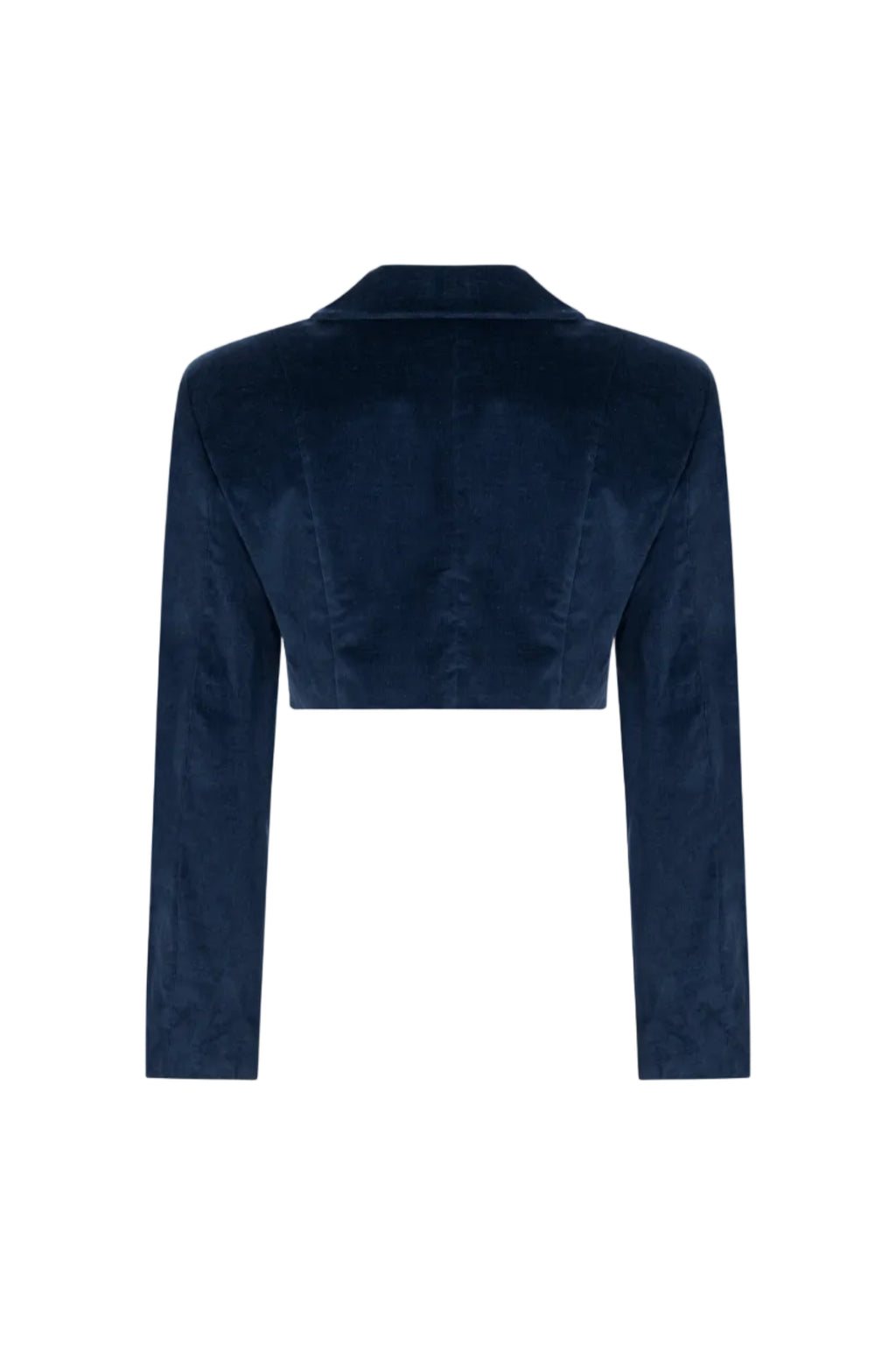 Cropped double-breasted velvet jacket, Terracotta, back view