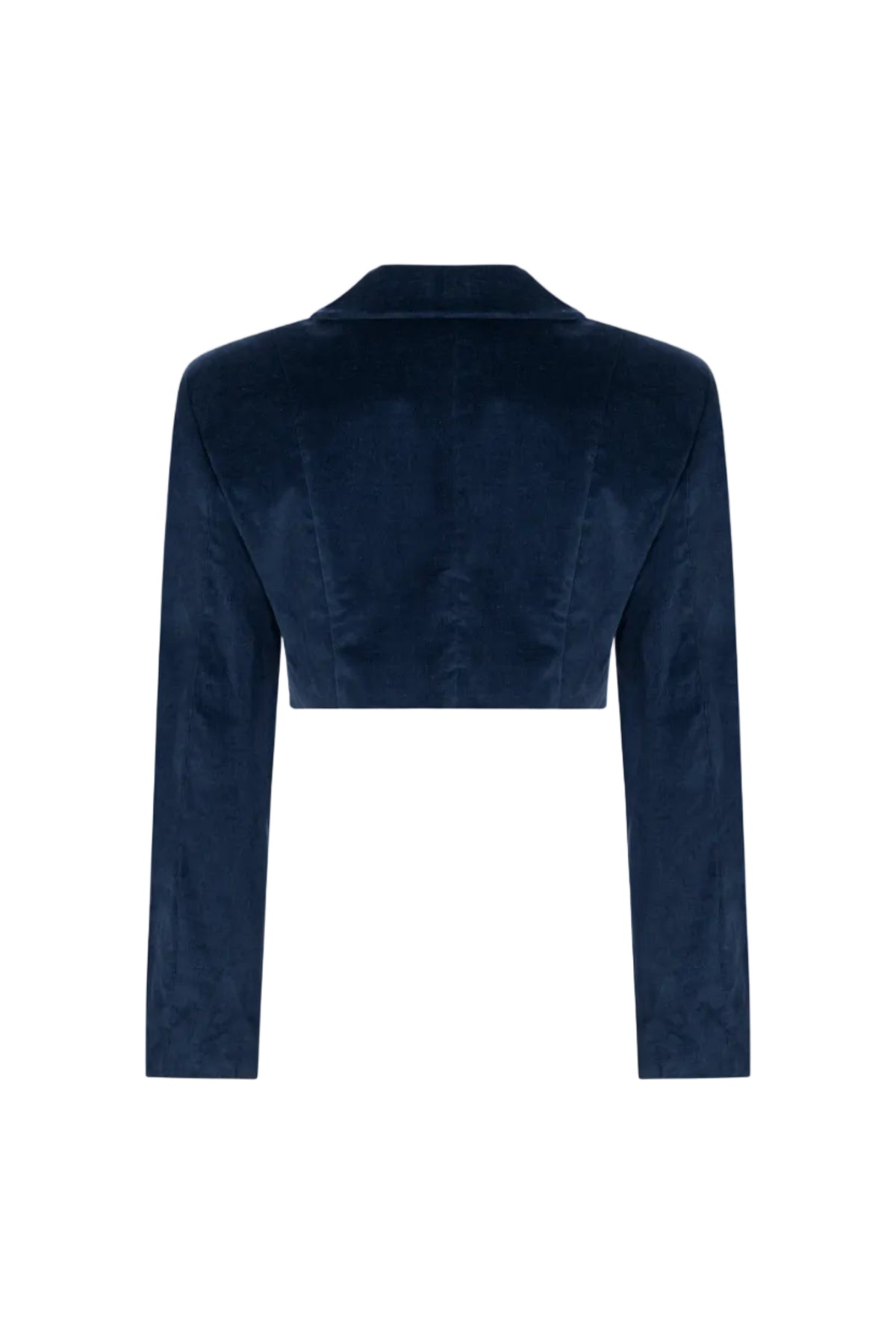 Cropped double-breasted velvet jacket, Terracotta, back view