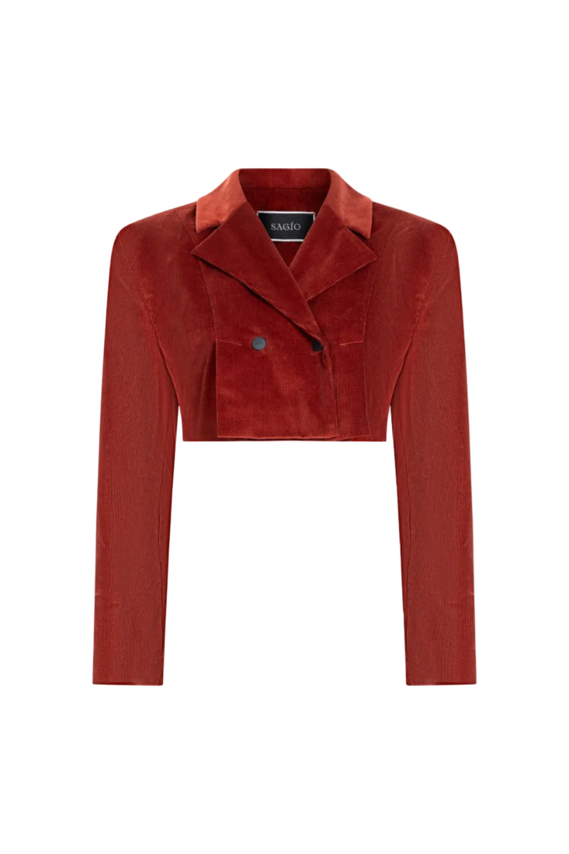 Cropped double-breasted velvet jacket, Terracotta, front detail and collar