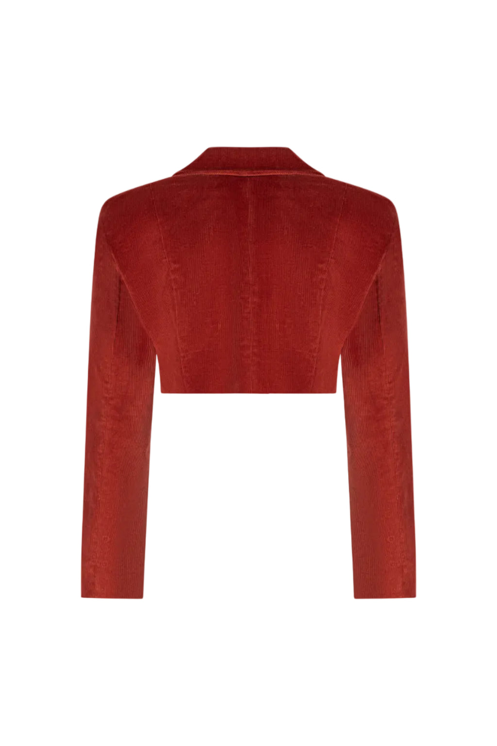 Cropped double-breasted velvet jacket, Terracotta, back view