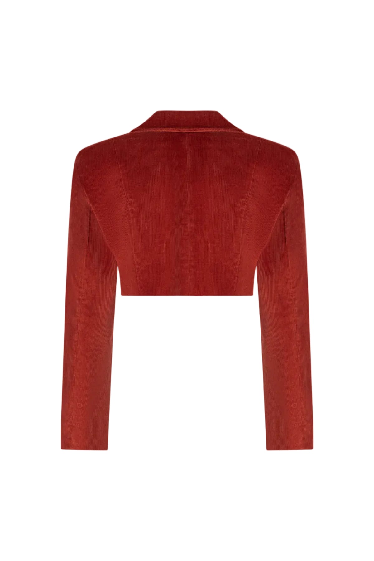 Cropped double-breasted velvet jacket, Terracotta, back view