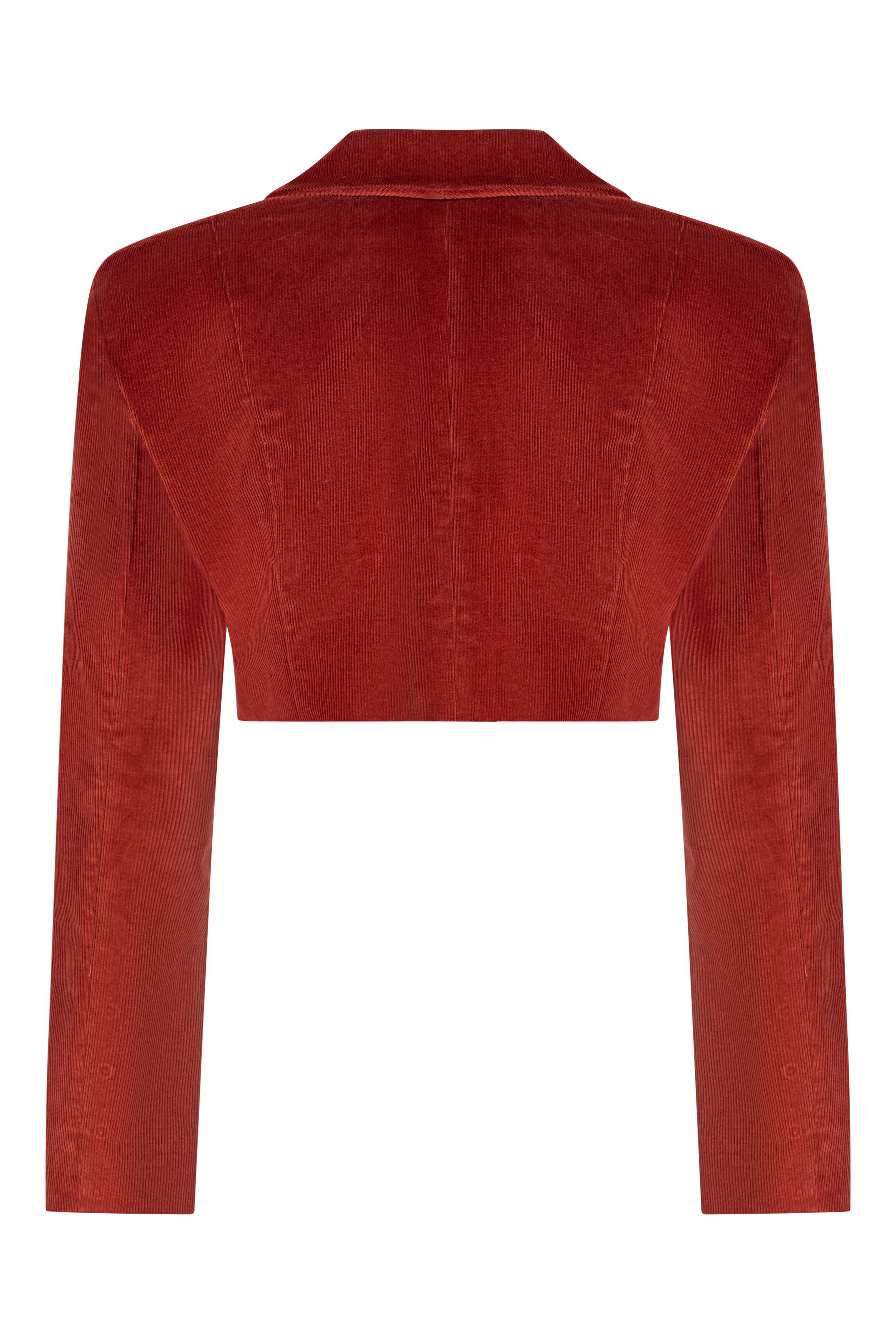 DOUBLE-BREASTED VELVET JACKET