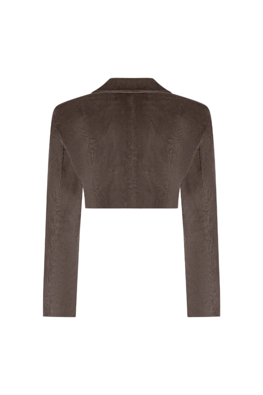 Cropped Cold Brown double-breasted velvet jacket, Terracotta, back view
