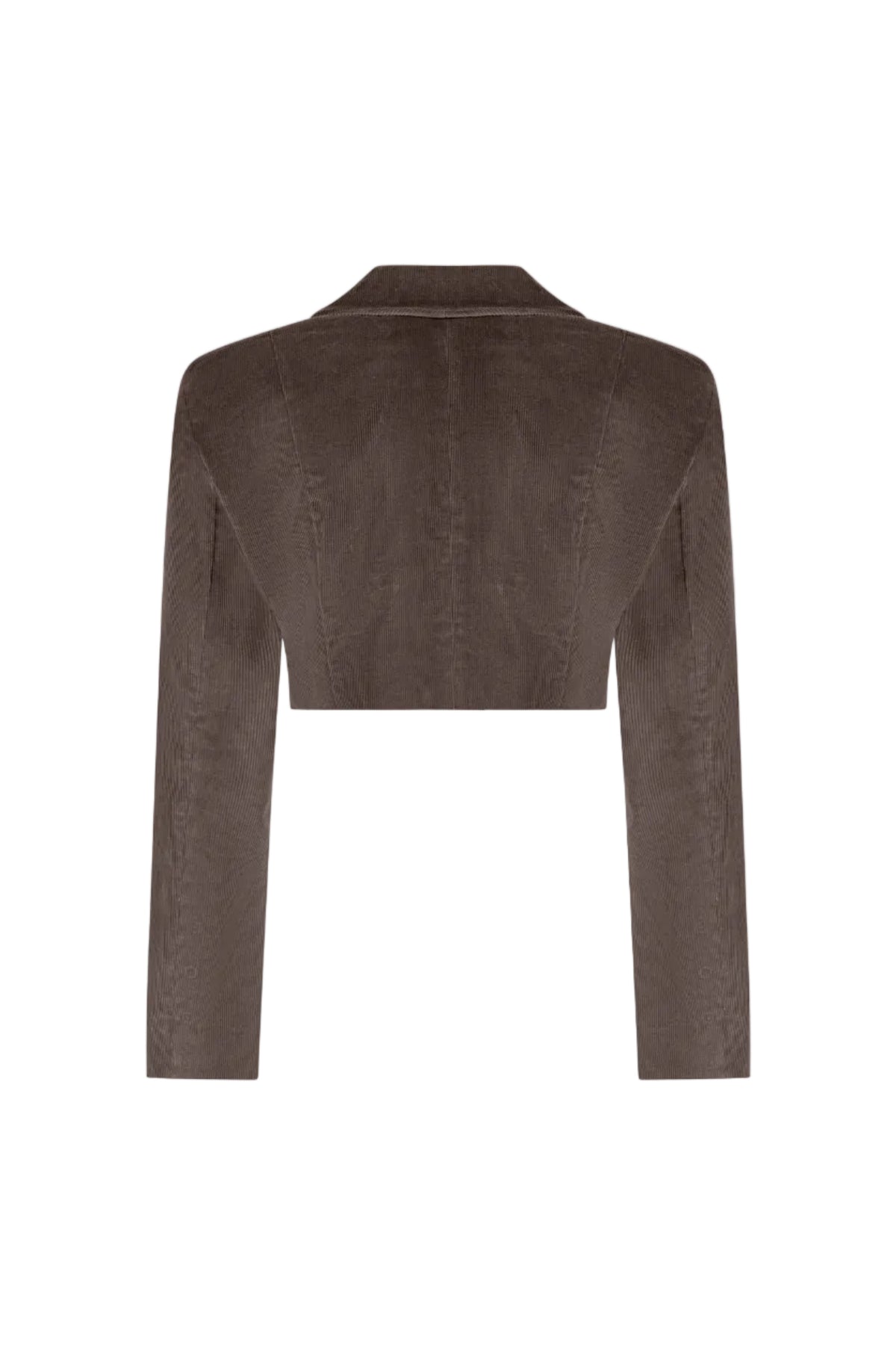 Cropped Cold Brown double-breasted velvet jacket, Terracotta, back view